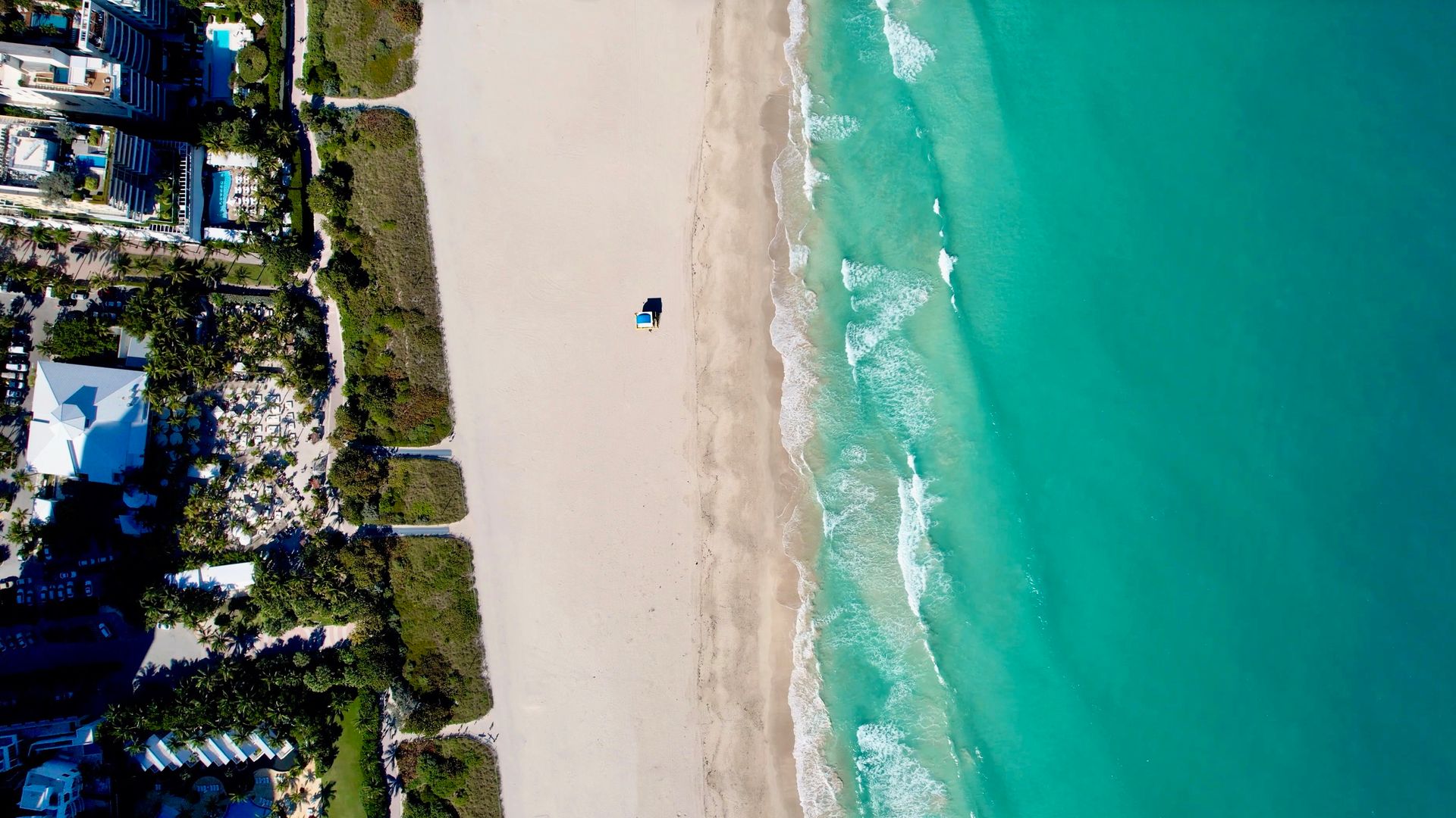 Travel to Miami, and stay like a local