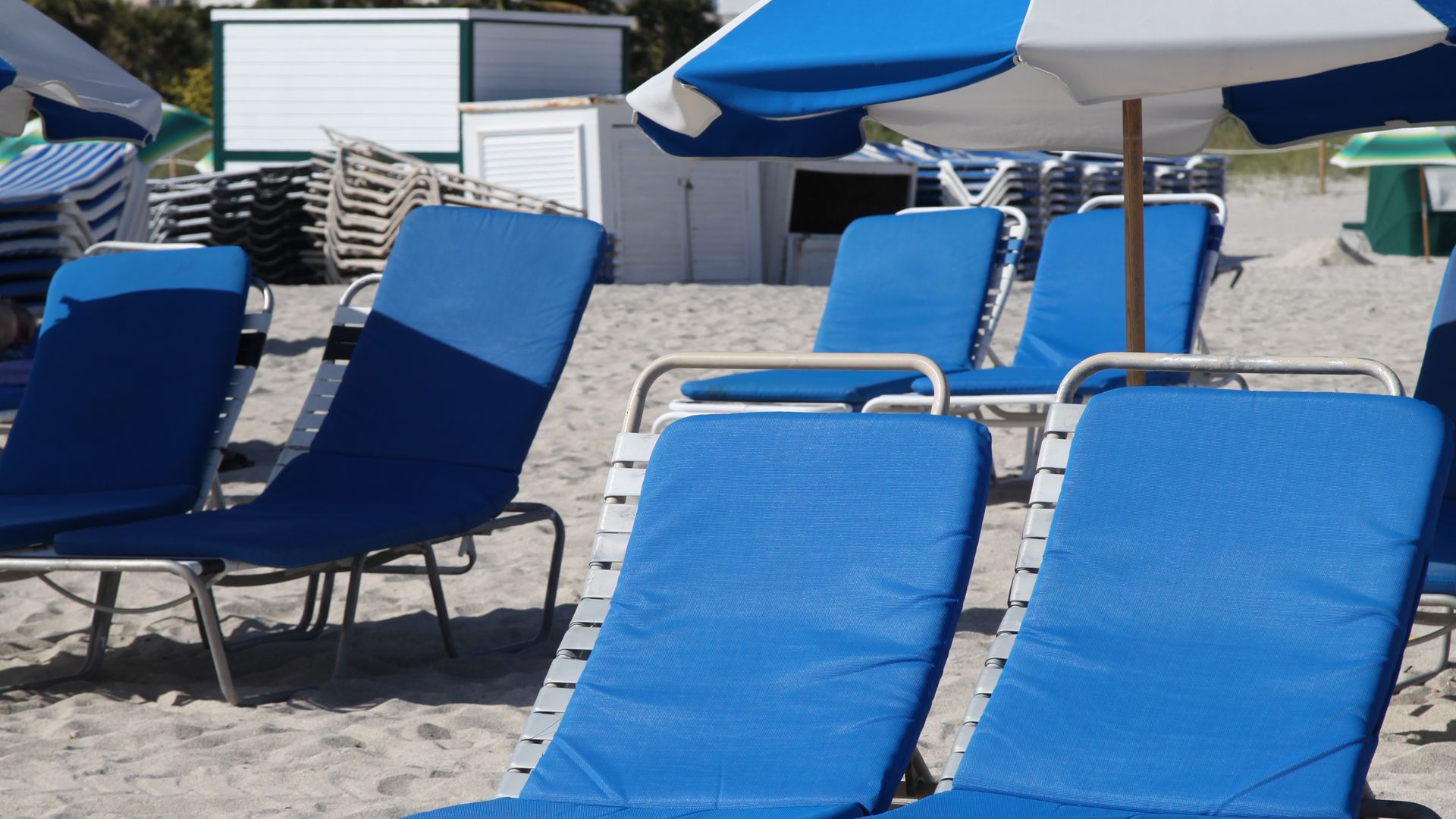 The best time to visit Miami