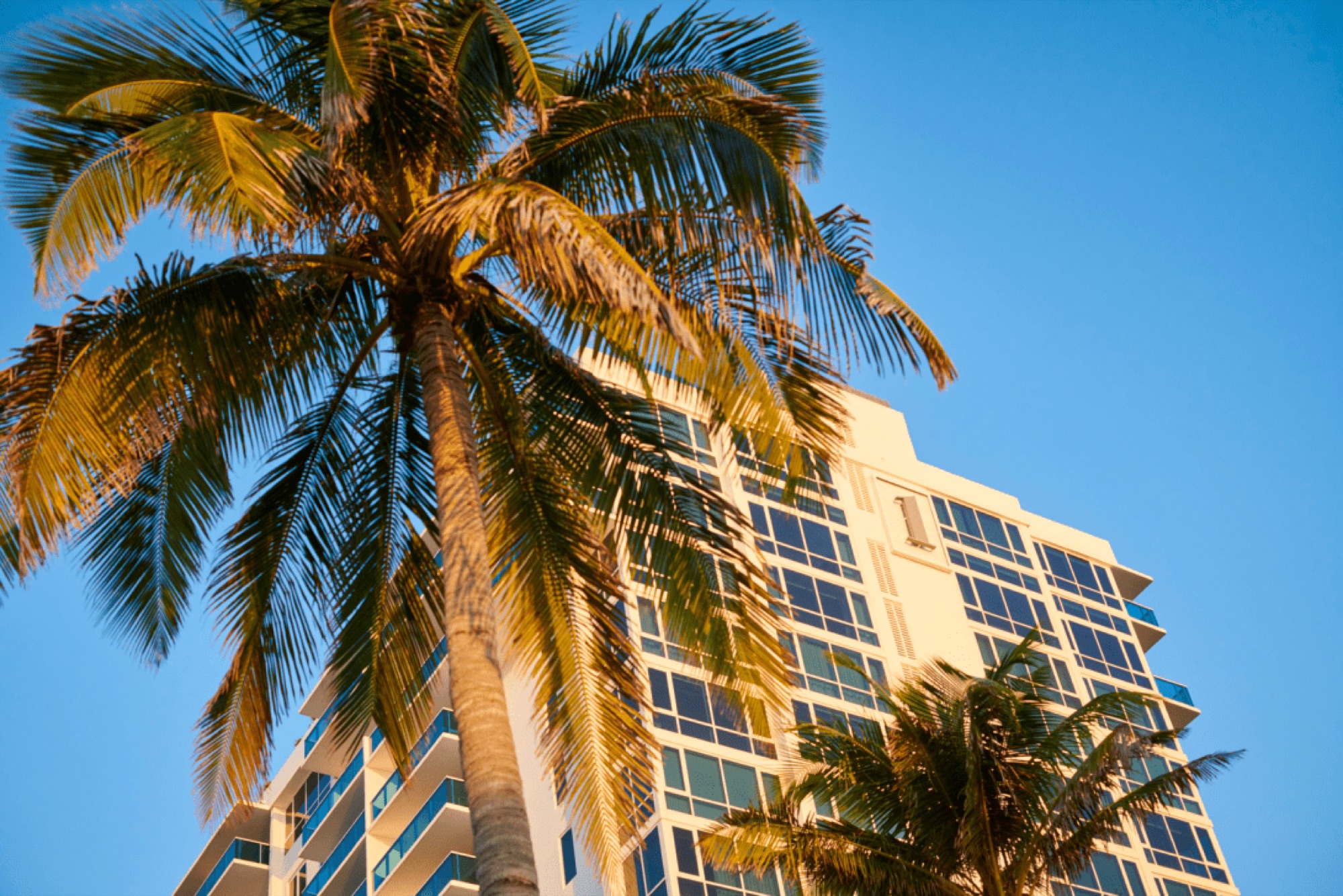 The center of South Beach, at the edge of the ocean